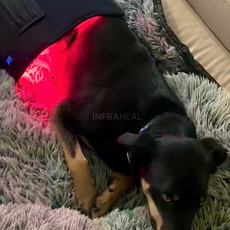 The InfraHeal Flexi Wearable Red Light Therapy Pad