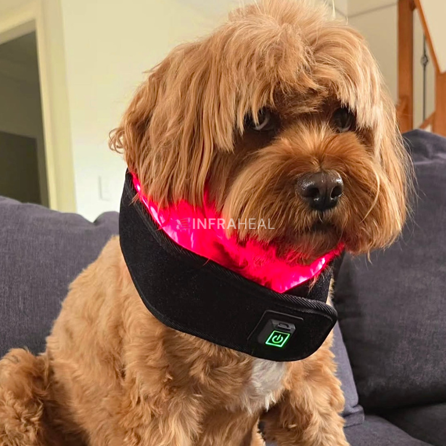 The InfraHeal Flexi Wearable Red Light Therapy Wrap